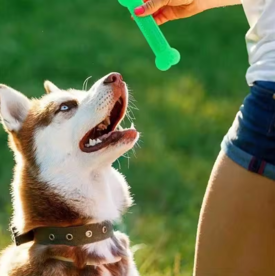 Chew Clean Dog Toy